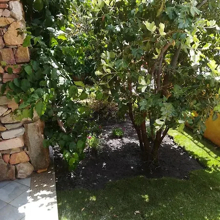 Tatil Evi Villino Del Pepe Rosa Villasimius