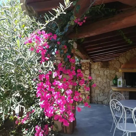 Villino Del Pepe Rosa ヴィッラシミーウス