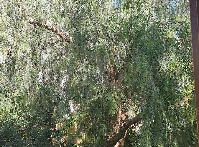 בית נופש Villino Del Pepe Rosa וילסימיוס